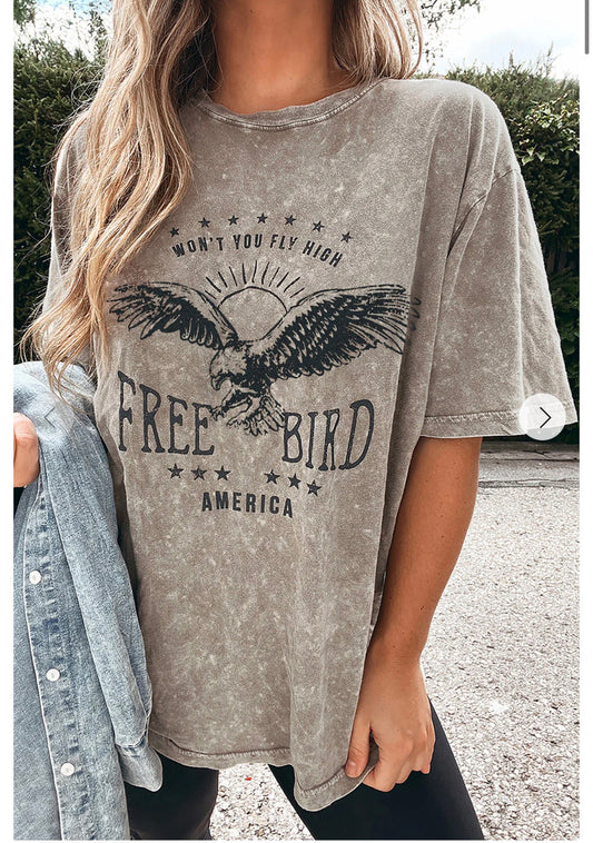Parchment AMERICA FREE BIRD Vintage Graphic Mineral Washed Tee