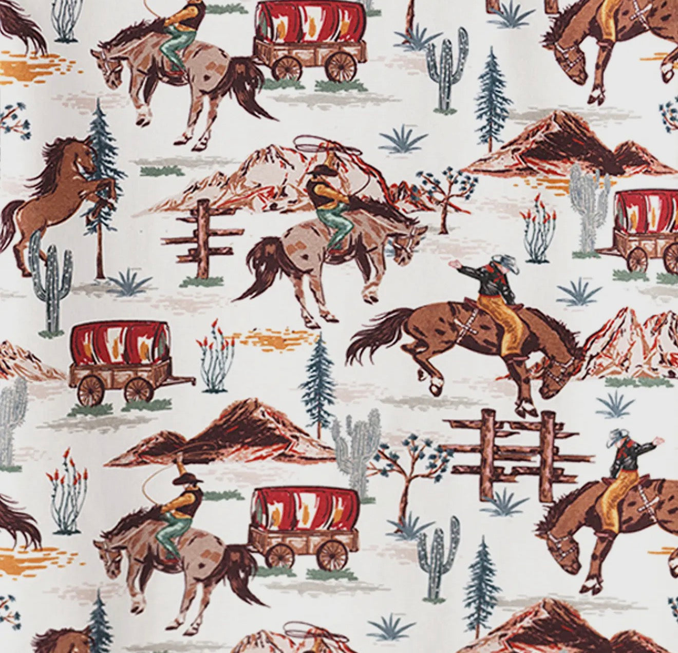 Cowboy Baby Boy Bamboo Stroller Blanket
- Western Spirit